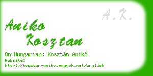aniko kosztan business card