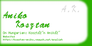 aniko kosztan business card